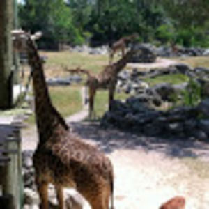 Meet your Posher, Majed